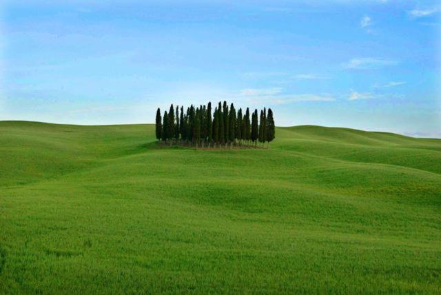 卡斯蒂戈隆·多尔希亚Val D'Orcia Nel Borgo公寓 外观 照片