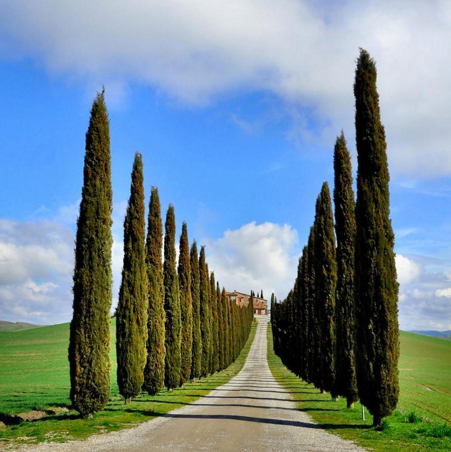 卡斯蒂戈隆·多尔希亚Val D'Orcia Nel Borgo公寓 外观 照片